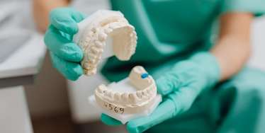 Informed Patients dentist holding a mold of a mouth with upper and lower teeth